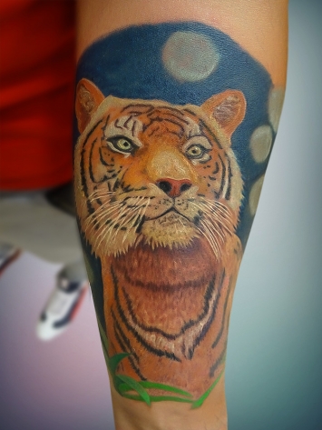 tatuaj-tigru-color